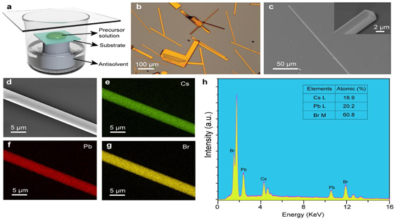 53fbbc3ce31af27d7205c04972f07b62.jpg 1.jpg